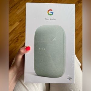Google Nest Audio in Sage